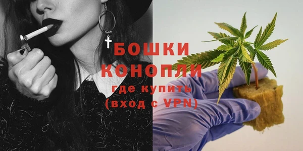 мдпв Кодинск